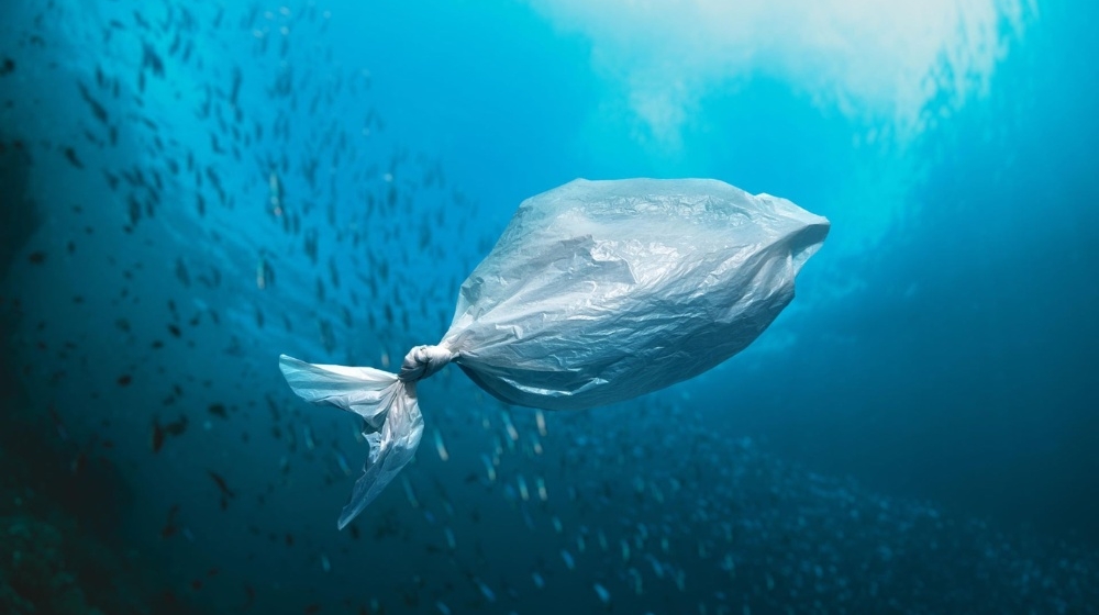 Torby bawełniane - czy są ekologiczne? 