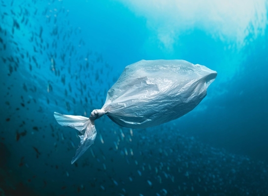 Torby bawełniane - czy są ekologiczne? 