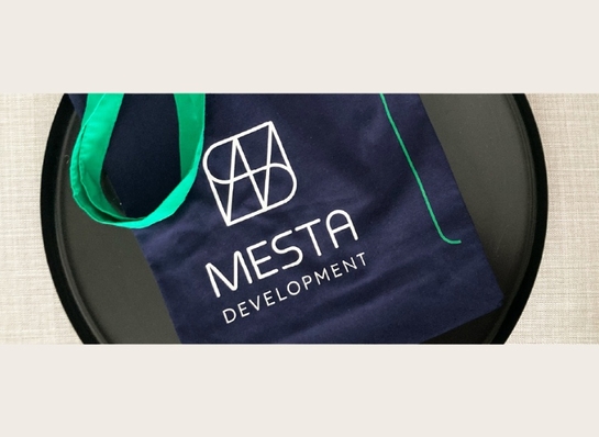 Mesta Development