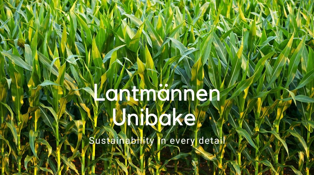 Od nasionka do woreczka: Współpraca liderów zrównoważonego rozwoju 