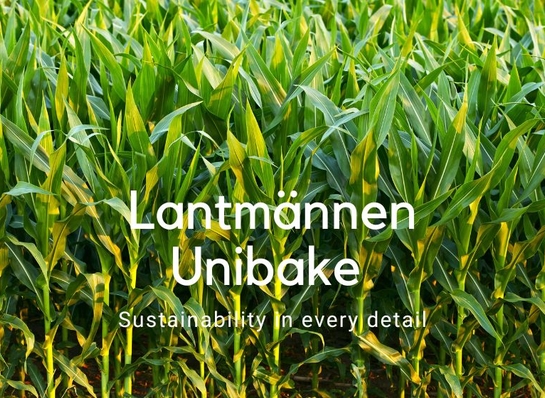 Od nasionka do woreczka: Współpraca liderów zrównoważonego rozwoju 