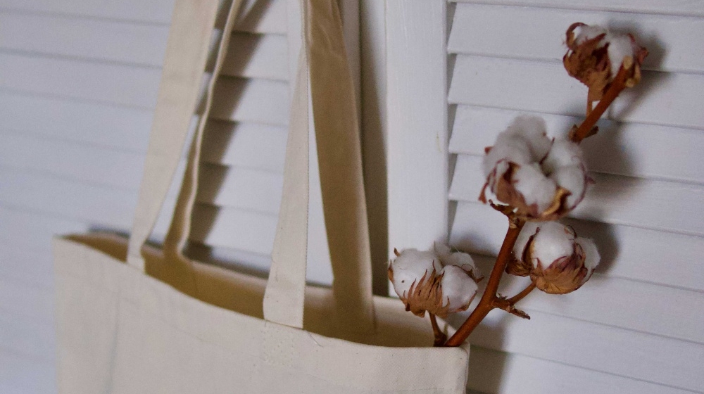 Produkcja bawełny - jak powstaje bawełna?